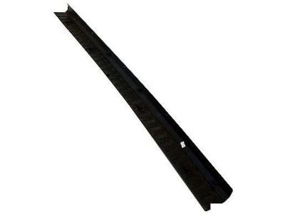2T1Z-17B807-AB Ford Step Pad, Torque Gray Product Photo 1 of 1