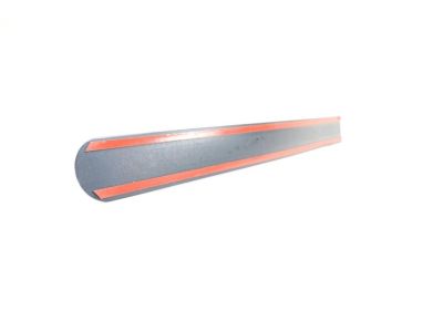 3C3Z-2825532-AAE Ford Moulding - Door Outside Product Photo 2 of 4