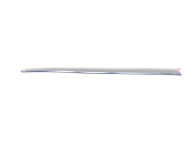 Ford 3C3Z-2825532-AAE Moulding - Door Outside 3C3Z-2825532-AAE Ford Moulding - Door Outside Product Photo 1 of 4