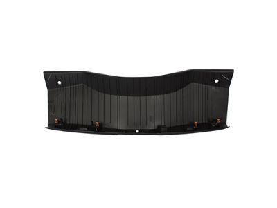 Lincoln DP5Z-5411318-LA Plate - Door Scuff