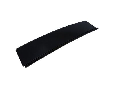 Ford F-150 Door Moldings - 5L3Z-16255A34-AA