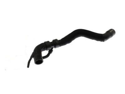 Lincoln AA5Z-8A505-B Hose