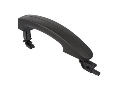 Ford BK2Z-6126604-A Handle Assembly - Door Outer