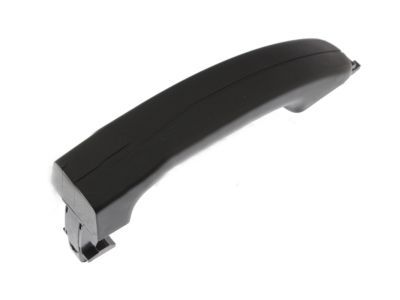 Ford BK2Z-6126604-A Handle Assembly - Door Outer