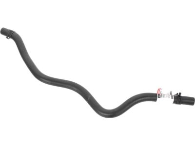 F81Z-3691-AA Ford Hose Assembly - Reservoir To Pump Product Photo 4 of 4