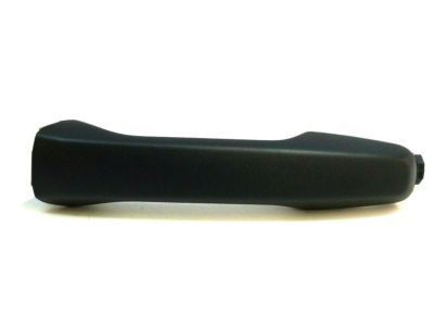 Ford BB5Z-7822404-AA Handle Assembly - Door Outer