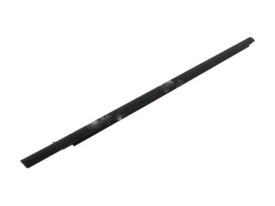 6E5Z-5421452-A Ford Belt Weatherstrip, Black, Passenger Side Product Photo 1 of 1