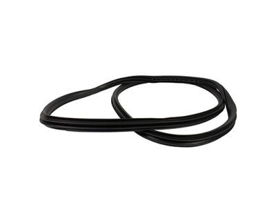 Ford FL3Z-1620709-A Weatherstrip Assy - Door Opening