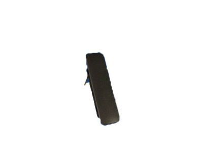 Ford 8C2Z-1522404-AD Handle Assembly - Door Outer