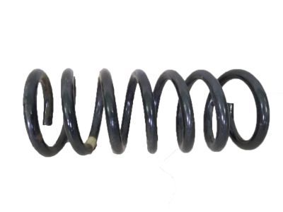 Lincoln Coil Springs - DG9Z-5560-B
