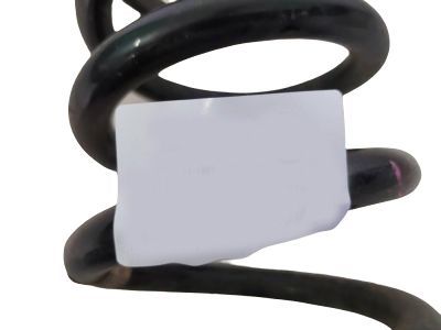 Lincoln Coil Springs - DG9Z-5560-B