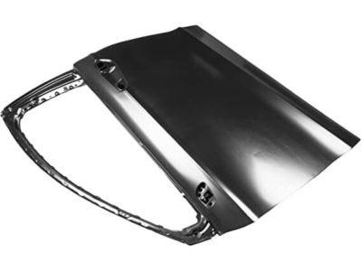 DS7Z-5420125-A Ford Door Shell, Front Driver Side Product Photo 4 of 5
