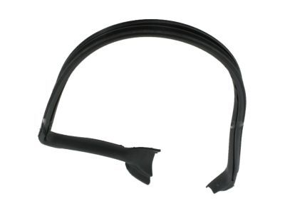 Ford AR3Z-6320708-A Weatherstrip Assembly - Door Opening