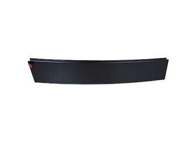 Ford 5L3Z-1620555-AAA Molding - Door Outside
