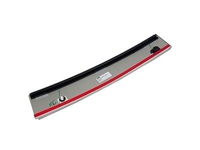 Ford 5L3Z-1620555-AAA Molding - Door Outside