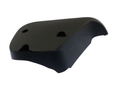 Ford DT1Z-6146410-BA Trim Cover, Rear Inner Passenger Side DT1Z-6146410-BA Ford Trim Cover, Rear Inner Passenger Side Product Photo 1 of 1