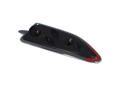 Ford CJ5Z-16228-AB Molding - Front Body Panel