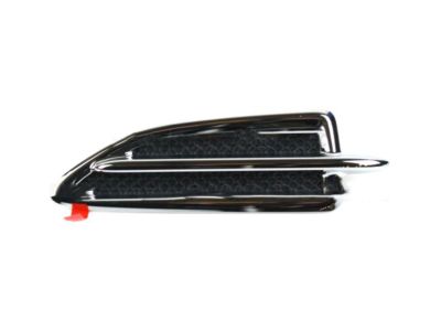 Ford CJ5Z-16228-AB Molding - Front Body Panel