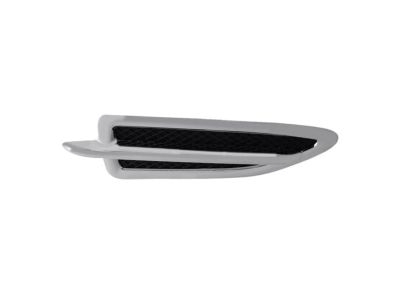 Ford CJ5Z-16228-AB Molding - Front Body Panel