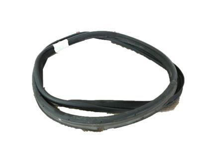 DS7Z-5443720-A Ford Weatherstrip Product Photo 1 of 1