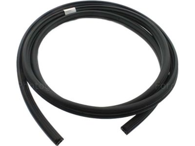BL3Z-1520708-A Ford Weatherstrip Assembly - Door Opening, Passenger Side Product Photo 1 of 1