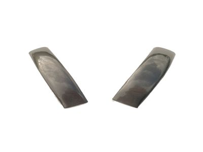 Ford F81Z-2551728-AAA Moulding - Roof Side Trim          