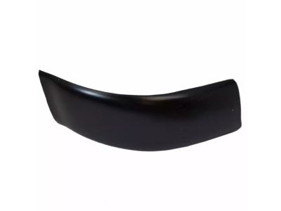 F81Z-2551729-AAK Ford Moulding - Roof Side Trim, Driver Side Product Photo 1 of 3