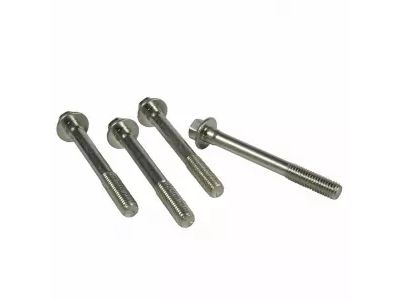 -W500117-S309 Ford Bolt Product Photo 3 of 3