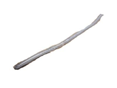 Ford 2C3Z-2520879-CAPTM Molding - Door Outside