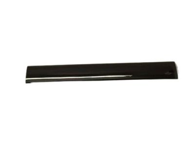 Lincoln 6H6Z-54044A90-CA Panel - Trim