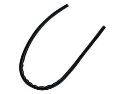 Ford XL3Z-1820531-AA Weatherstrip Assembly - Door