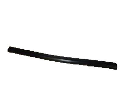 Ford XL3Z-1820531-AA Weatherstrip Assembly - Door