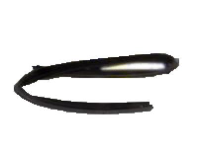 Ford XL3Z-1820531-AA Weatherstrip Assembly - Door
