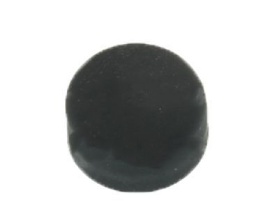 Lincoln -W710461-S300 Cap