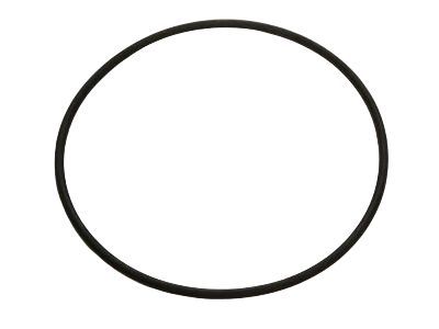 Ford F81Z-1001-BA Axle Shaft O-Ring F81Z-1001-BA Ford Axle Shaft O-Ring Product Photo 1 of 1