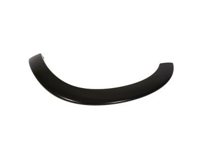 Ford BC3Z-16039-APTM Moulding