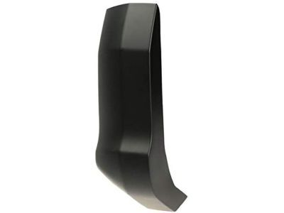 Ford F-150 Door Moldings - FL3Z-1829076-AC