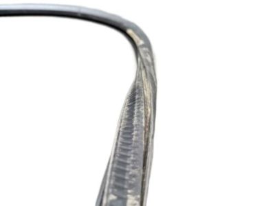 FT4Z-5820708-A Ford Weatherstrip Assembly - Door Opening Product Photo 3 of 3