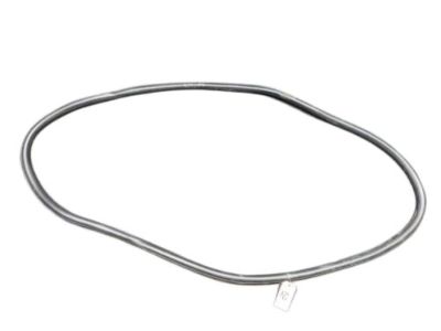 FT4Z-5820708-A Ford Weatherstrip Assembly - Door Opening Product Photo 1 of 3