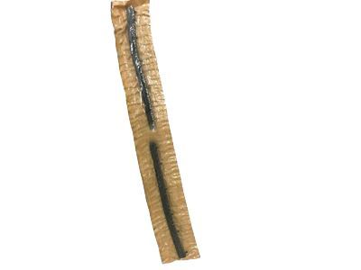 Ford Ranger Door Seal - F37Z-1020759-A