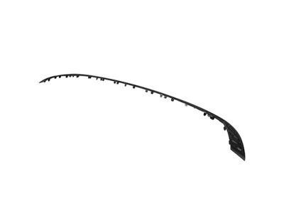 Ford FM5Z-17765-BA Insert Strip, Rear FM5Z-17765-BA Ford Insert Strip, Rear Product Photo 1 of 1