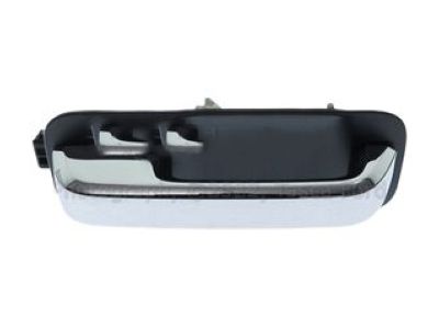 Ford FL3Z-1626605-DEPTM Handle Assembly - Door Outer