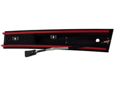 Ford DB5Z-7820555-AC Molding - Door Outside