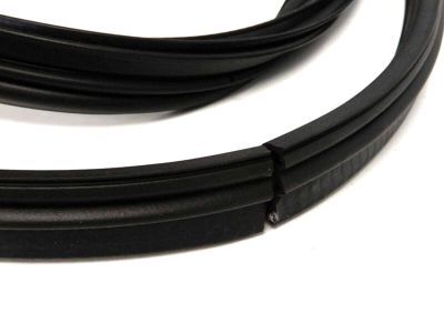 1F1Z-5443720-AA Ford Weatherstrip, Rear Product Photo 3 of 3