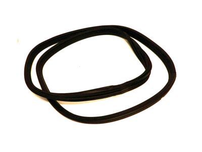 1F1Z-5443720-AA Ford Weatherstrip, Rear Product Photo 1 of 3