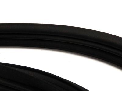 1F1Z-5443720-AA Ford Weatherstrip, Rear Product Photo 2 of 3