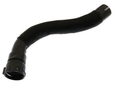 Lincoln AA5Z-8286-D Hose - Radiator