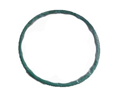 Ford Expedition Fuel Pump Seal - 4L3Z-9276-AA