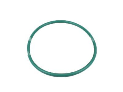 Ford Expedition Fuel Pump Seal - 4L3Z-9276-AA