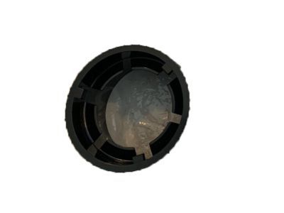 Mercury F6DZ-13N019-A Retainer - Bulbs